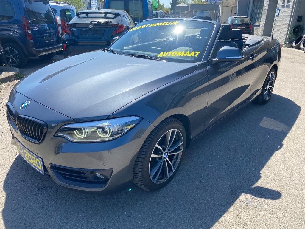 BMW 2 Reeks 220 i Sport Line CABRIO AUTOMAAT MET GARANTIE, Autos, Cuir, Argent ou Gris, Entreprise, Cabriolet