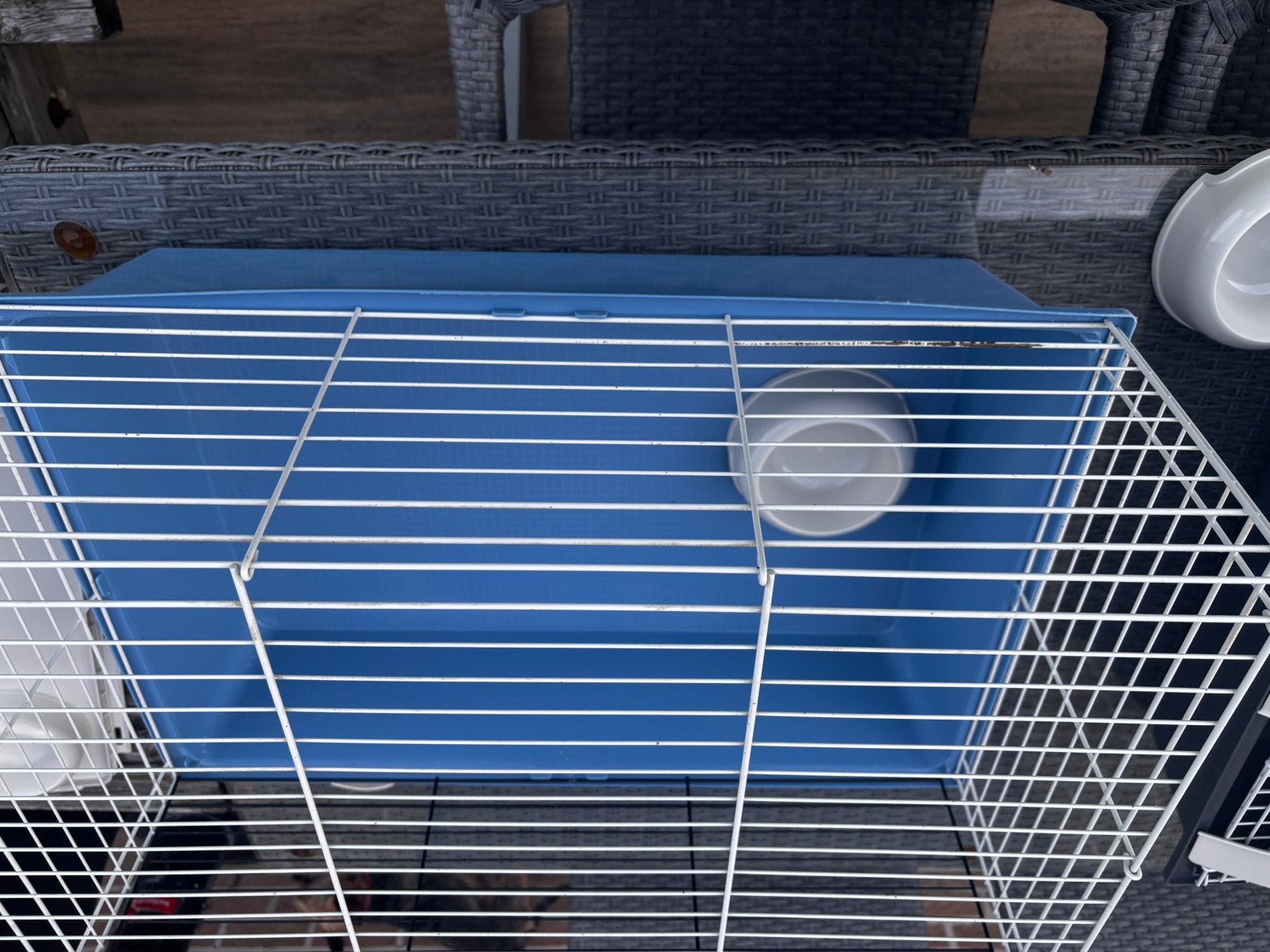 Cage pour lapin et cochon d’Inde, Animaux & Accessoires, Enlèvement, Utilisé, Cage, Cobaye