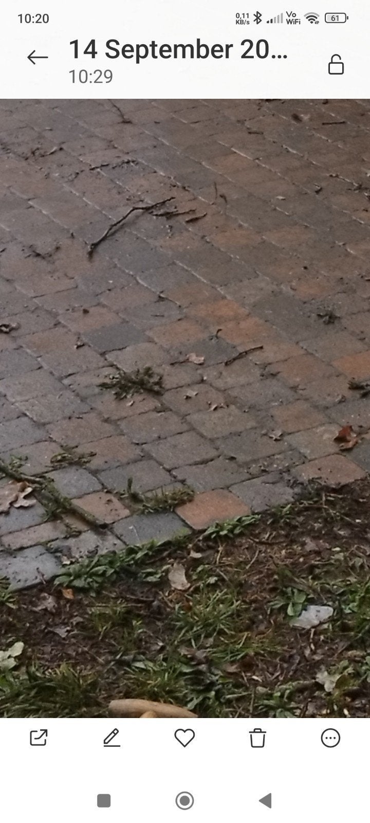 ik zoek klinkers herfstkleur, Jardin & Terrasse, Enlèvement
