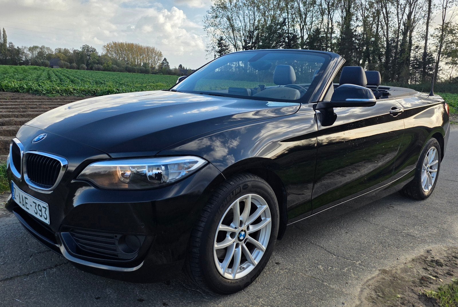 Bmw 220i Cabriolet Euro 6b essence, Autos, Cuir, Euro 6, Entreprise, Cabriolet