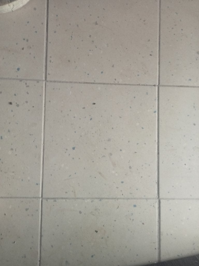 Vloertegel, Doe-het-zelf en Bouw, Keramiek, Zo goed als nieuw, 20 tot 40 cm, 20 tot 40 cm