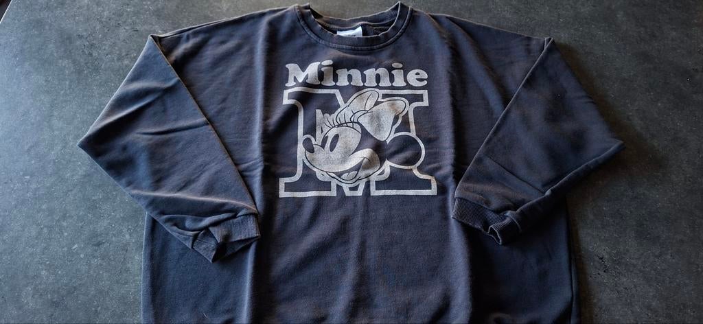 Minnie mouse sweater, Kleding | Dames, Ophalen, Maat 42/44 (L), Blauw