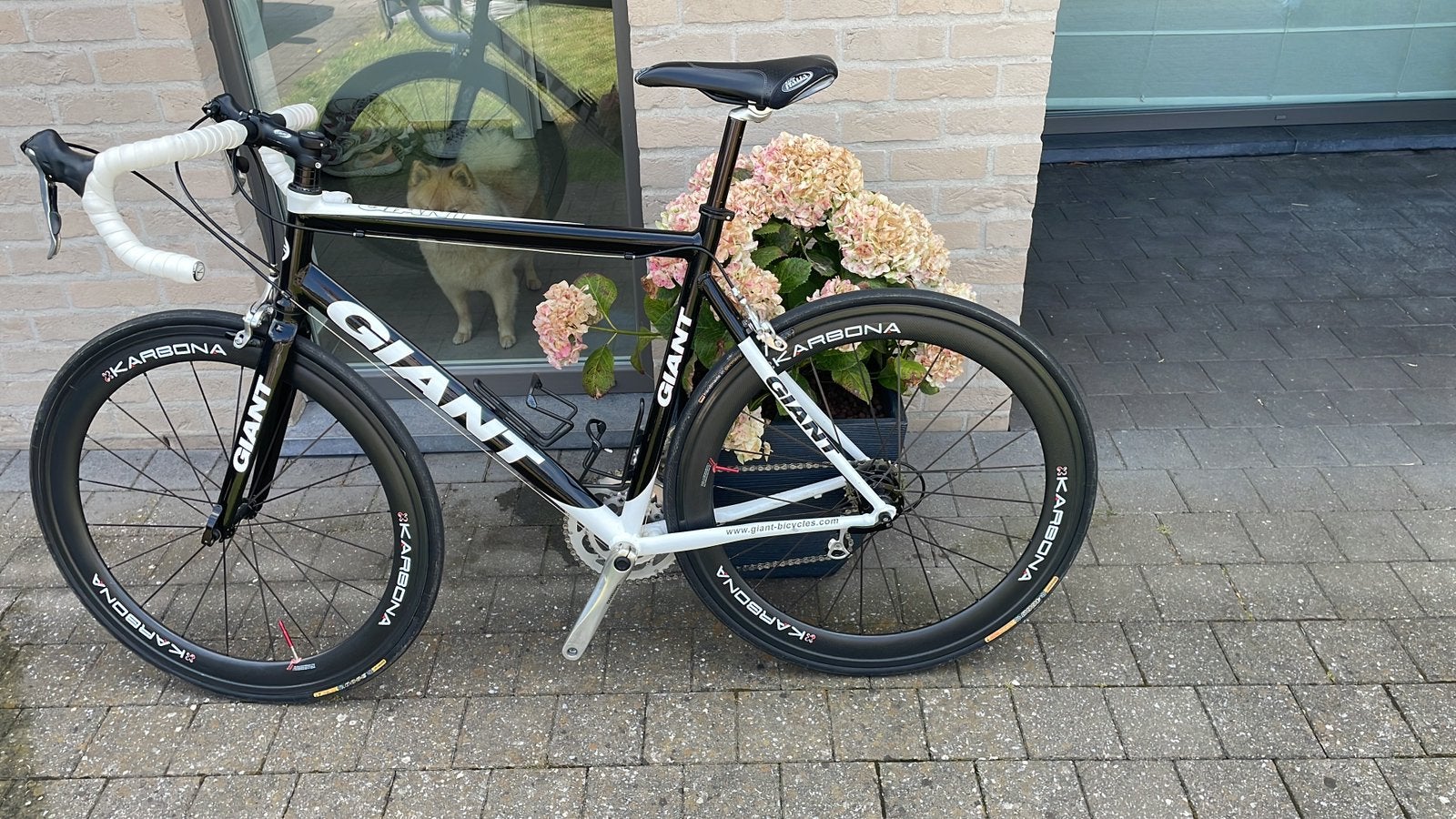 Koersfiets giant, Ophalen of Verzenden, Zo goed als nieuw, Giant
