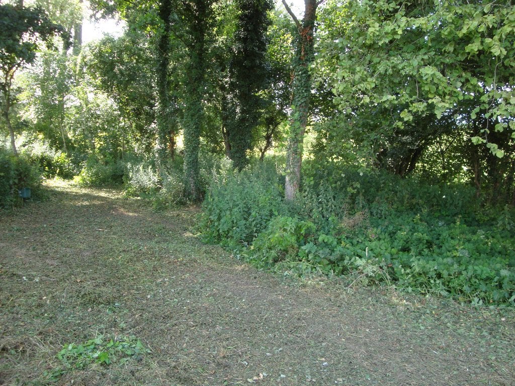 Houten achtergrond, Ophalen