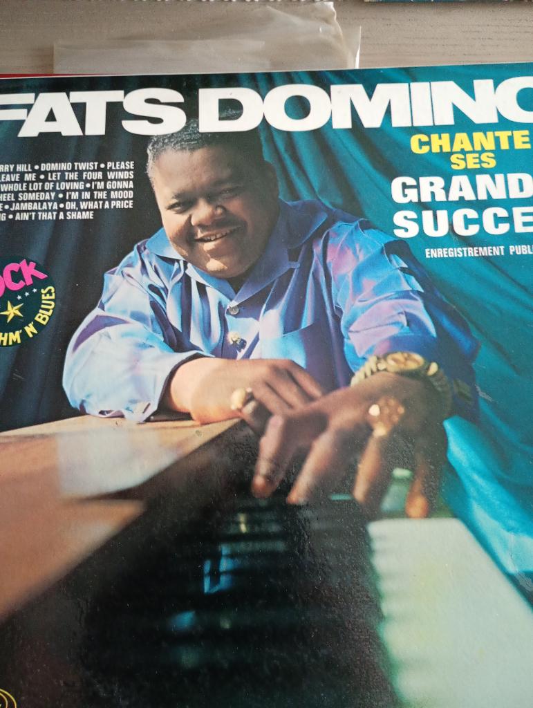 Fats Domino - Chante se grands succes, Enlèvement ou Envoi, 1970 - 1979, Utilisé, 12 pouces
