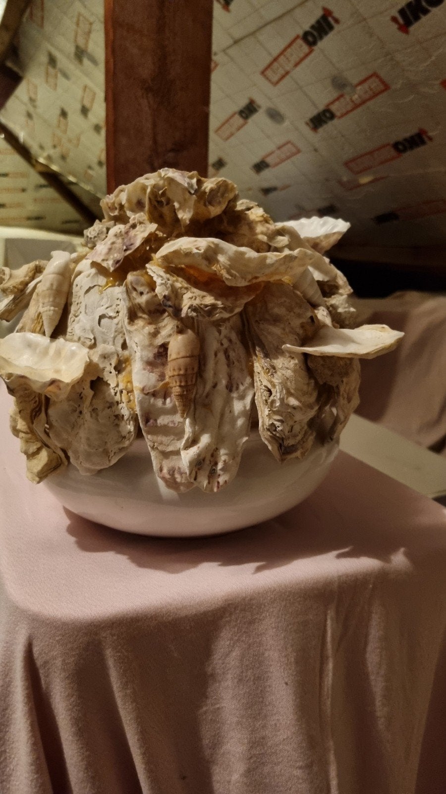bol à coquillages, Maison & Meubles, Enlèvement ou Envoi, Utilisé, Rond, Porcelaine ou Céramique