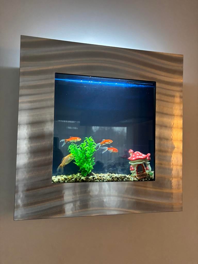 Wandaquarium zeer goede staat!, Ophalen, Zo goed als nieuw