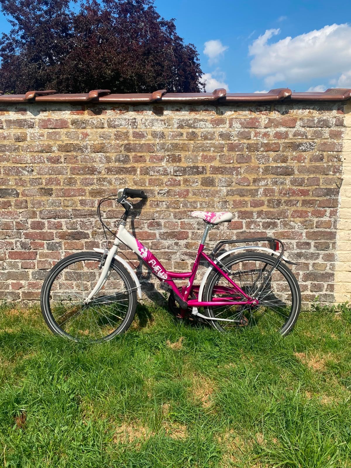 Velo fille