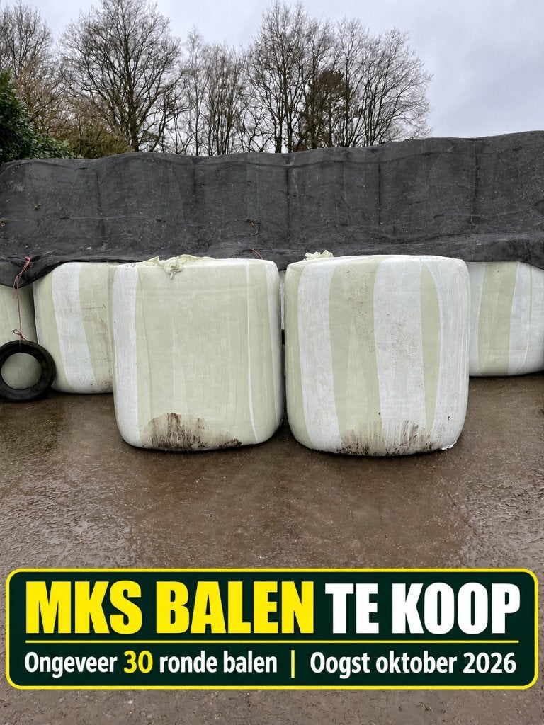 MKS mais balen te koop, Animaux & Accessoires