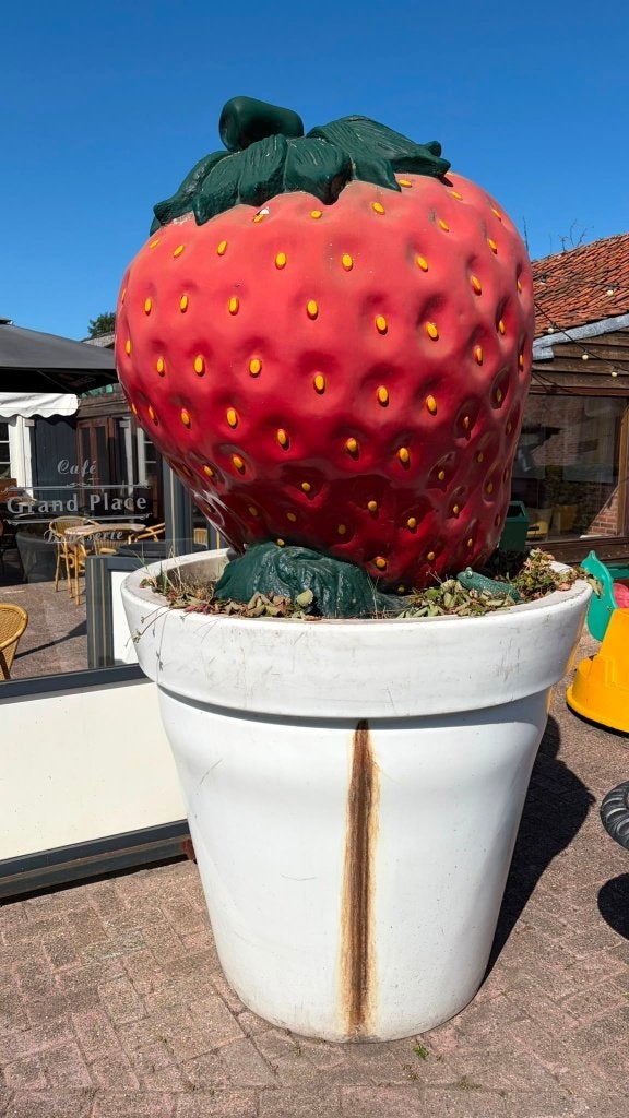 Reusachtige aardbei met grote plantenbak decoratie, Tuin en Terras, Ophalen, Kunststof, Gebruikt, 100 cm of meer