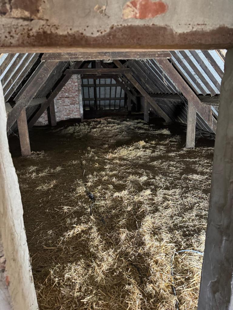 Gratis hooi/stro, Dieren en Toebehoren, Overige Dieren, Juni, Mannelijk