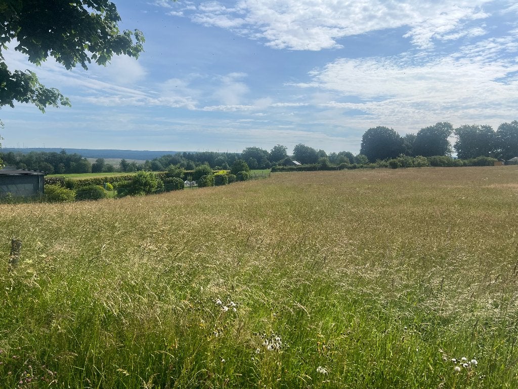 Terrain à bâtir à Elsenborn, Elsenborn, Ventes sans courtier, 500 à 1000 m²