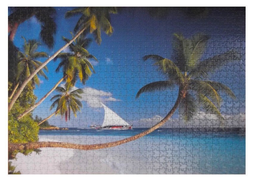 Puzzle, Hobby & Loisirs créatifs, Sport cérébral & Puzzles, Enlèvement, 500 à 1500 pièces, Comme neuf, Puzzle