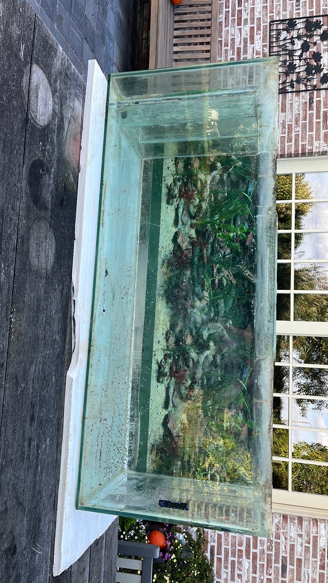 Aqarium, Dieren en Toebehoren, Ophalen, Gebruikt, Vissenkom
