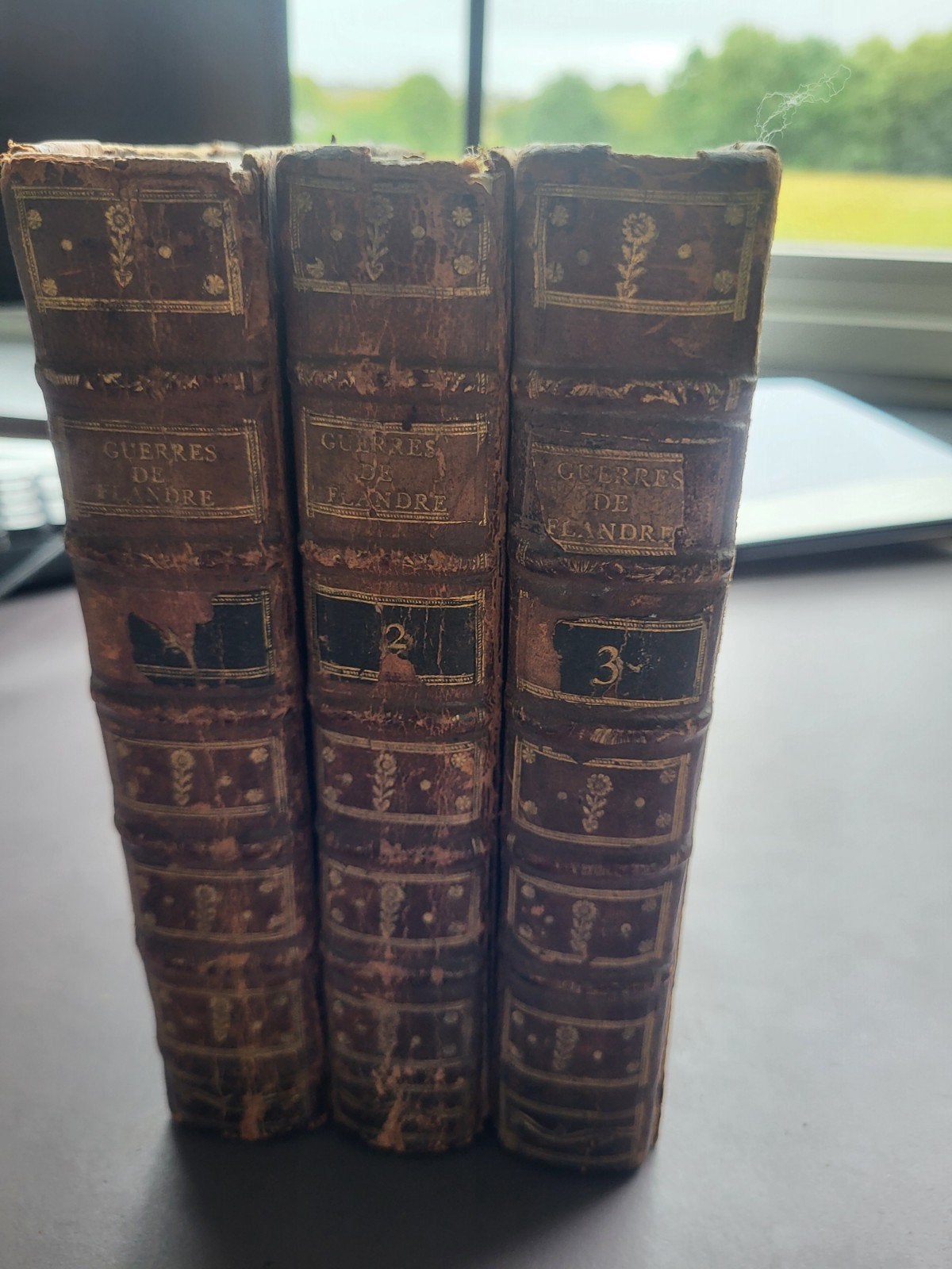 Histoire des Guerres de Flandre 3 tomes 1769, Enlèvement ou Envoi
