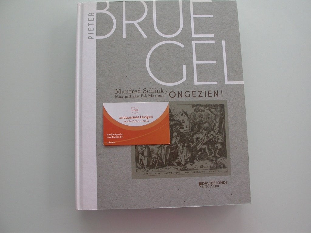 Pieter Bruegel Ongezien - de verborgen Antwerpse collecties, Ophalen of Verzenden, Zo goed als nieuw, Manfred Sellink, Schilder- en Tekenkunst