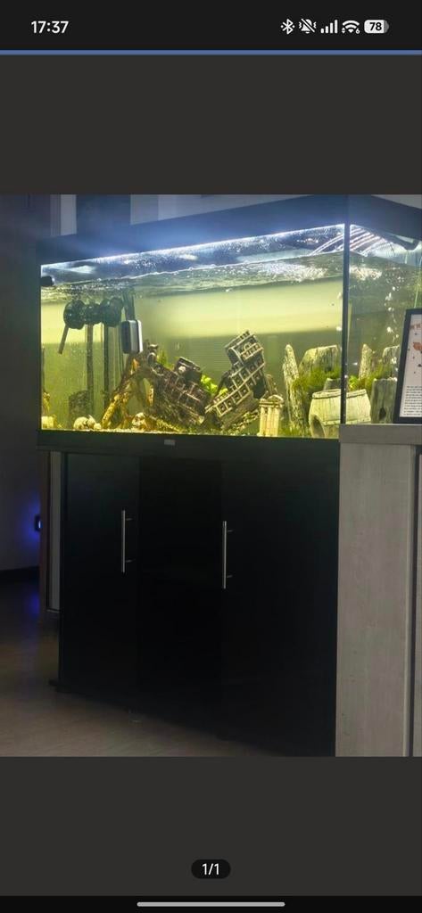 Visbak met toebehoren, Dieren en Toebehoren, Vissen | Aquaria en Toebehoren, Ophalen, Pomp