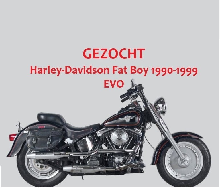 GEZOCHT: Harley-Davidson Fat Boy EVO (1990 - 1999), Particulier