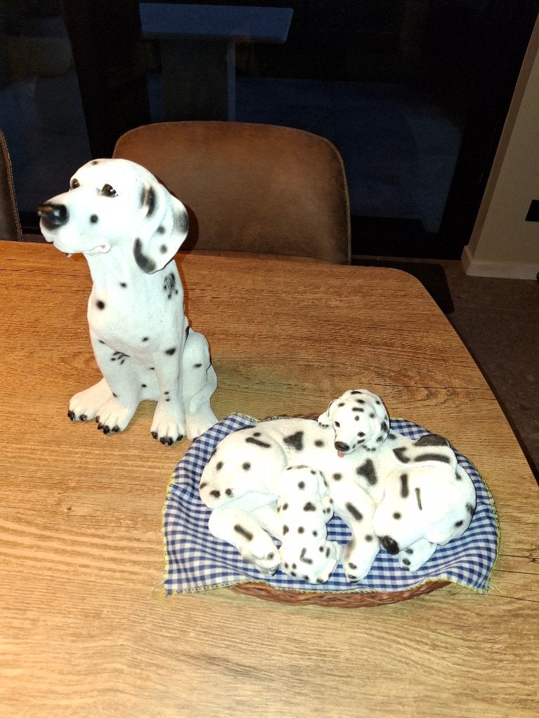 Beelden Dalmatiër, Ophalen, Nieuw