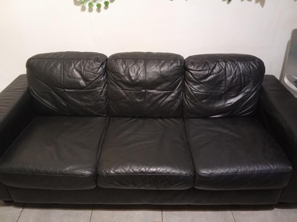 À donner, Enlèvement, Cuir