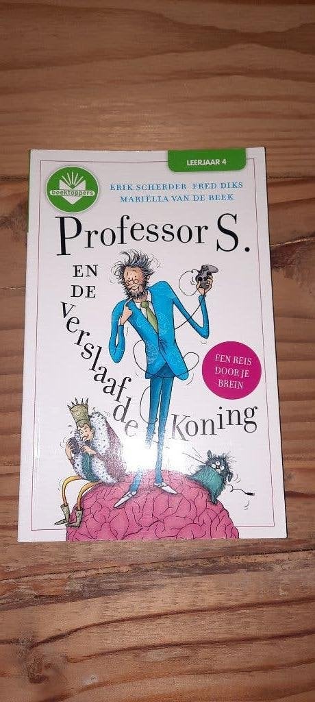Boek professor s. 4de leerjaar, Ophalen of Verzenden, Zo goed als nieuw