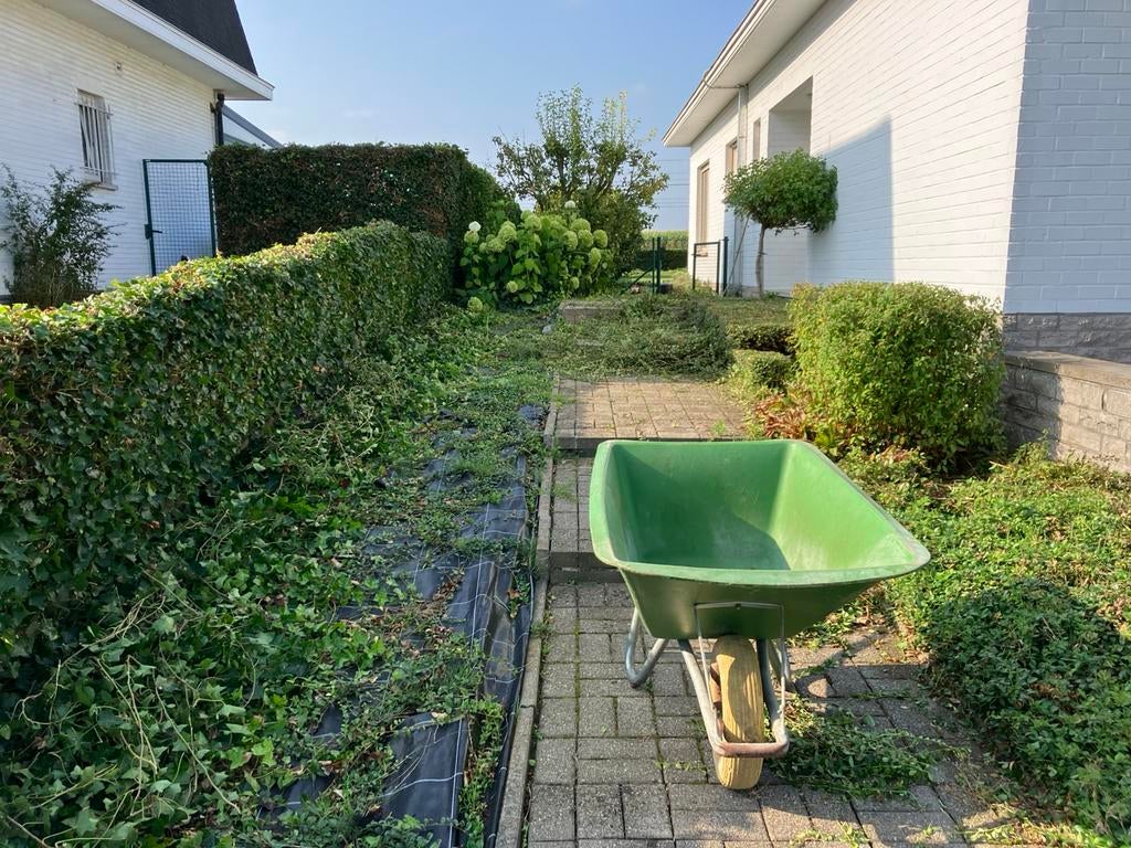 Opkuis tuinen, Ophalen, Zo goed als nieuw