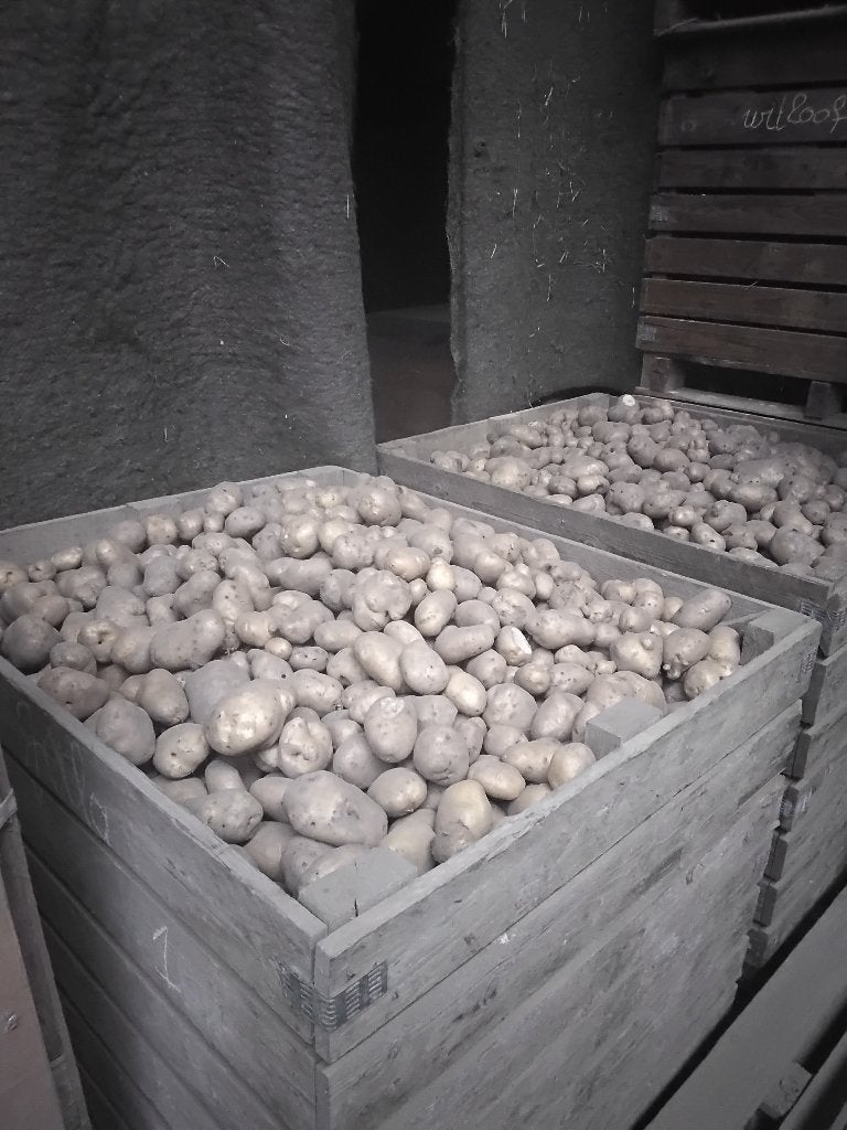 Voeder aardappelen, Zakelijke goederen, Ophalen