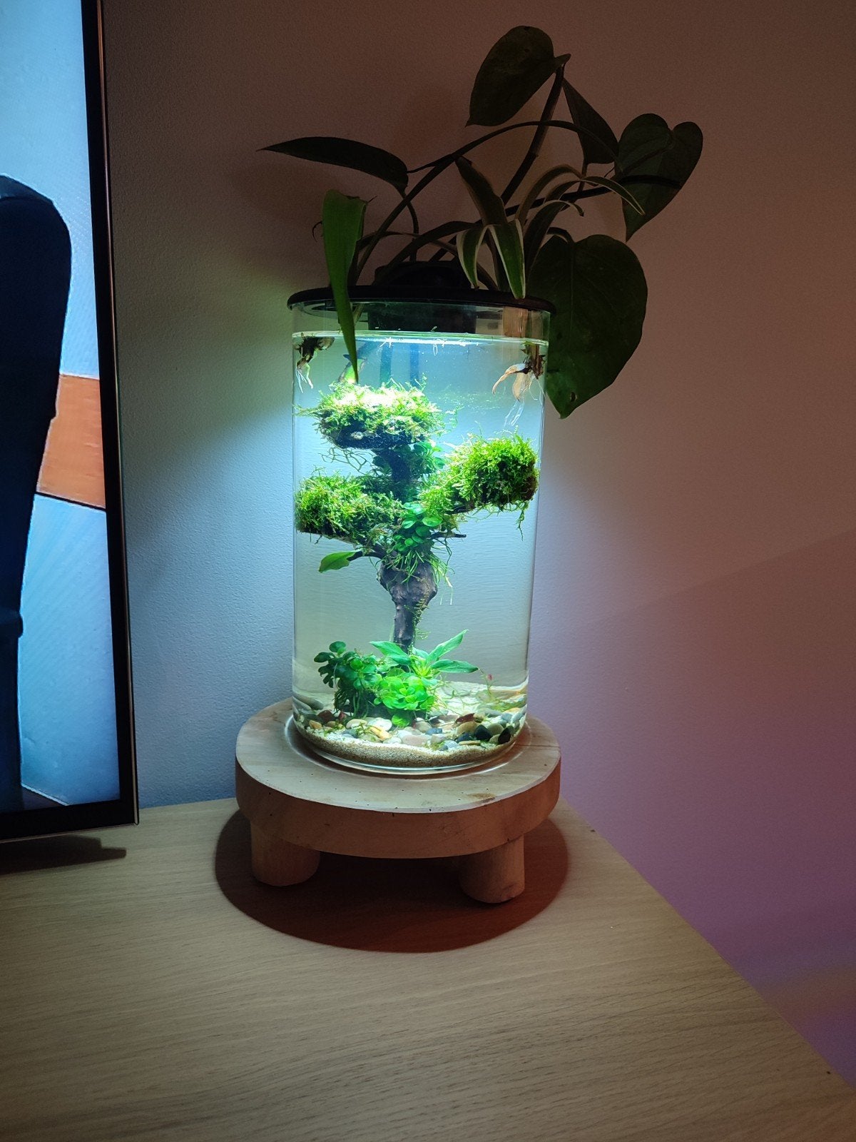 4-liter nano aquarium / garnalenbak met ingebouwde verlichti, Dieren en Toebehoren, Ophalen, Zo goed als nieuw, Decoratie