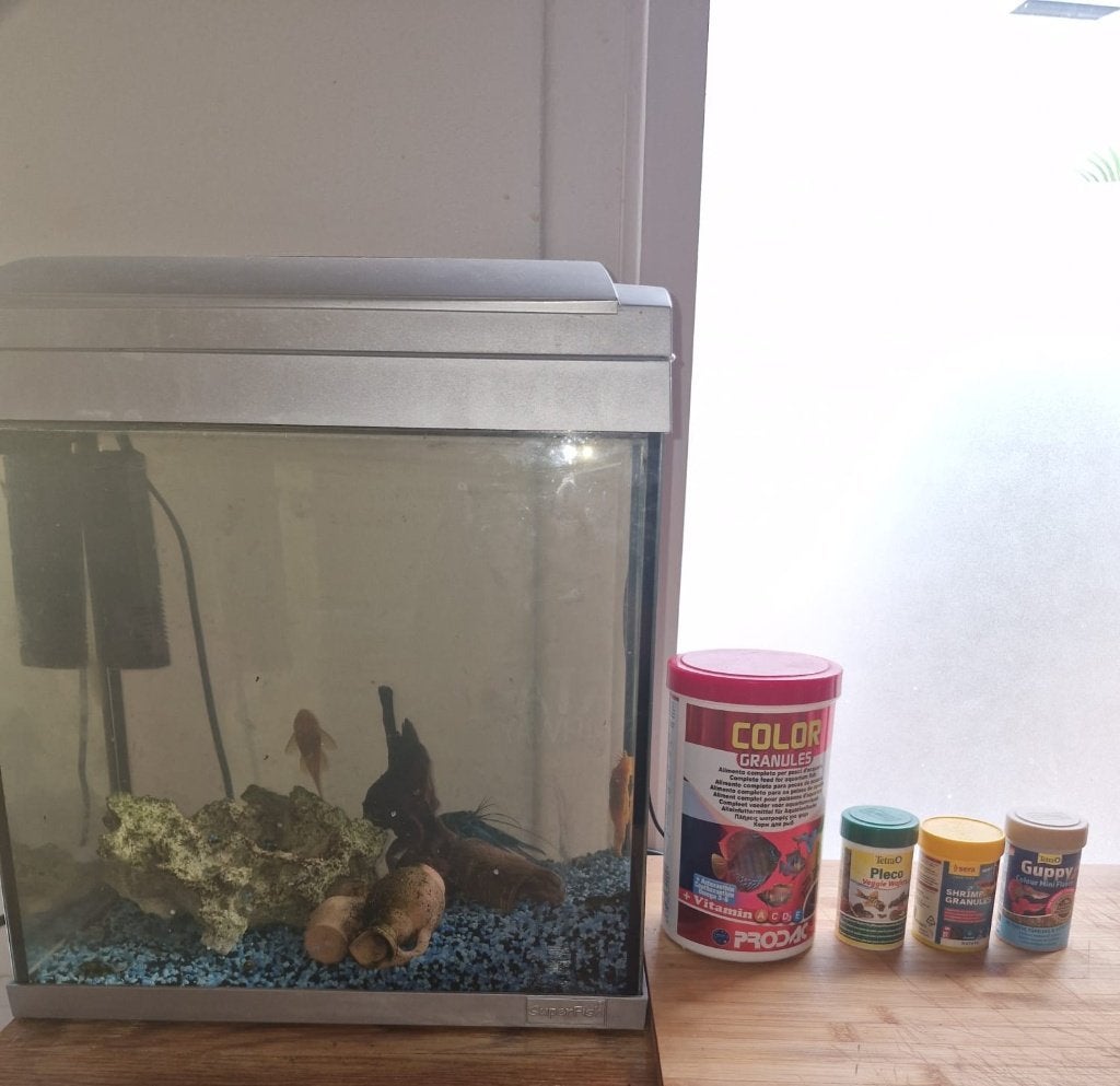 Aquarium, Dieren en Toebehoren, Ophalen