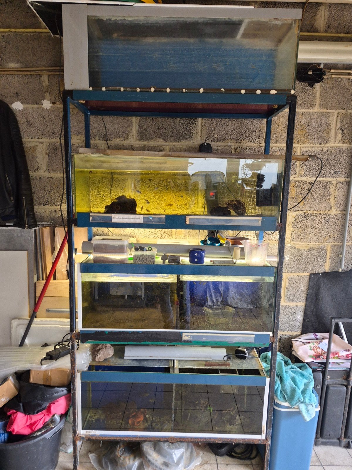 étagère aquarium d élevage, Enlèvement, Pompe, Utilisé