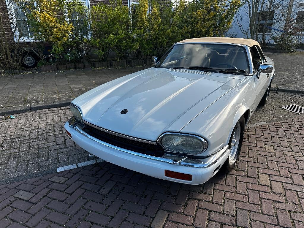Jaguar XJ-S 4.0 XJS Cabriolet, Cuir, Achat, Beige, Entreprise