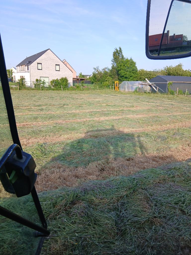 Eerste snede voordroog hooi. Onbespoten en onkruidvrij, Enlèvement, Bétail