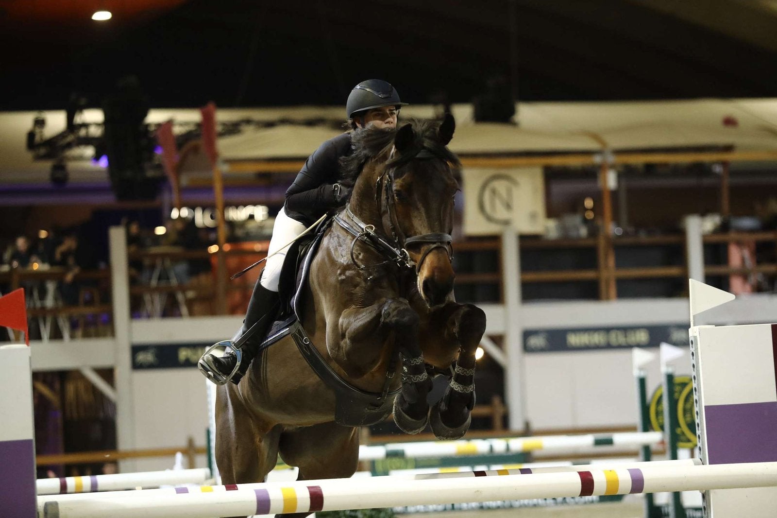 Knappe leermeester te koop (springpaard), Dieren en Toebehoren, Paarden, Ruin, 170 tot 175 cm, 11 jaar of ouder, Springpaard, Met stamboom