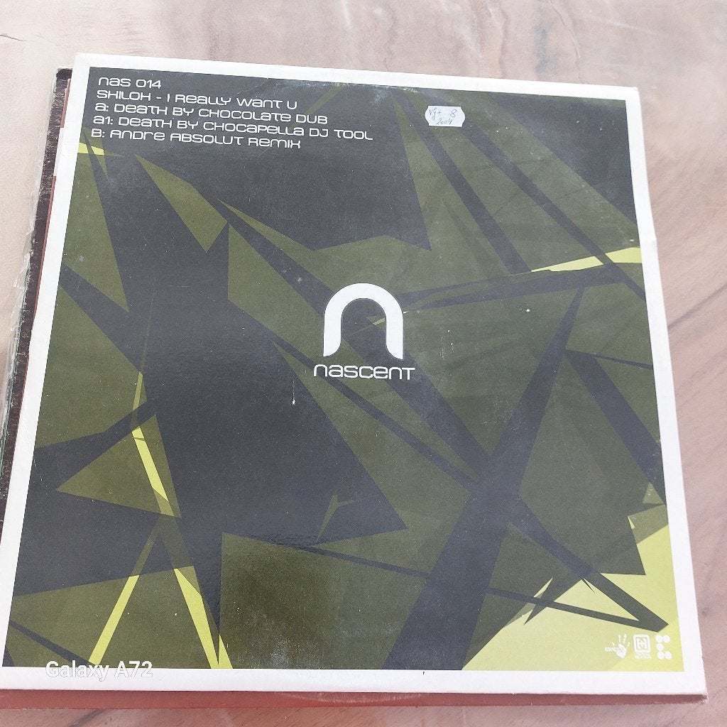 shiloh i really want you 12 inch maxi, Cd's en Dvd's, Vinyl | Dance en House, Gebruikt, Trip Hop of Breakbeat, Ophalen of Verzenden