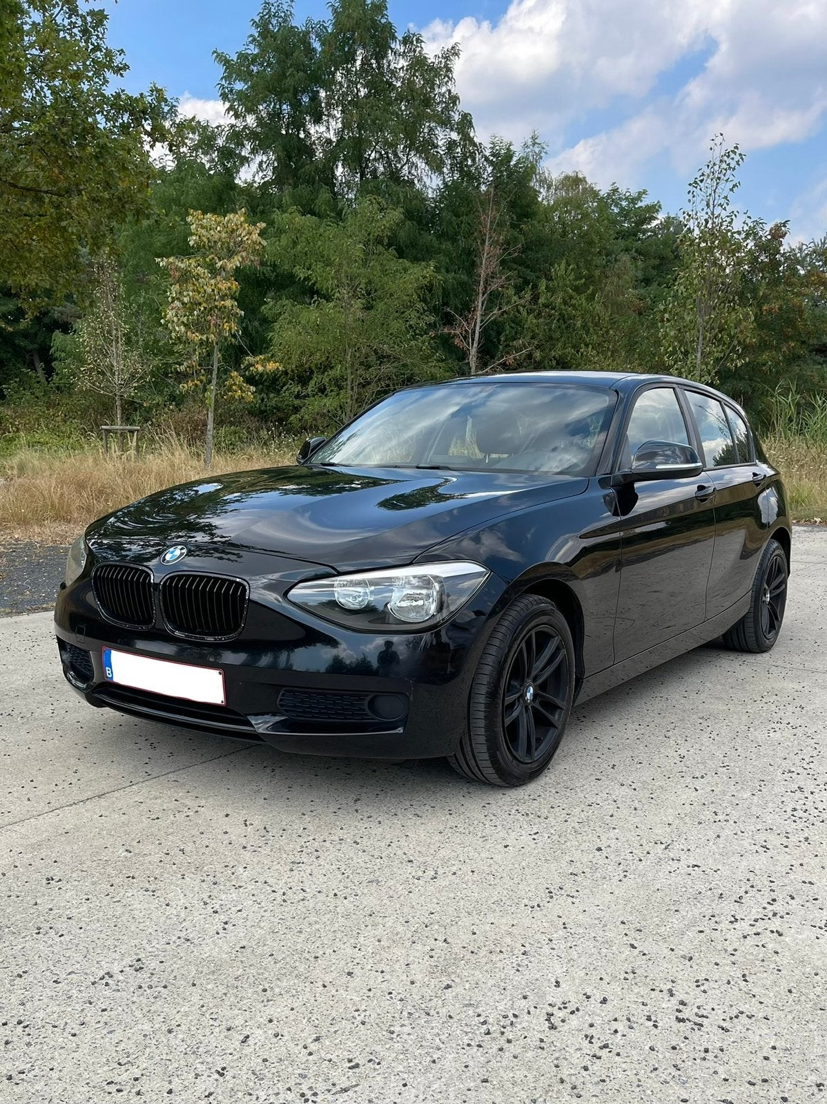 BMW 116d Édition Business, 1385 kg, Euro 5, Achat, Noir