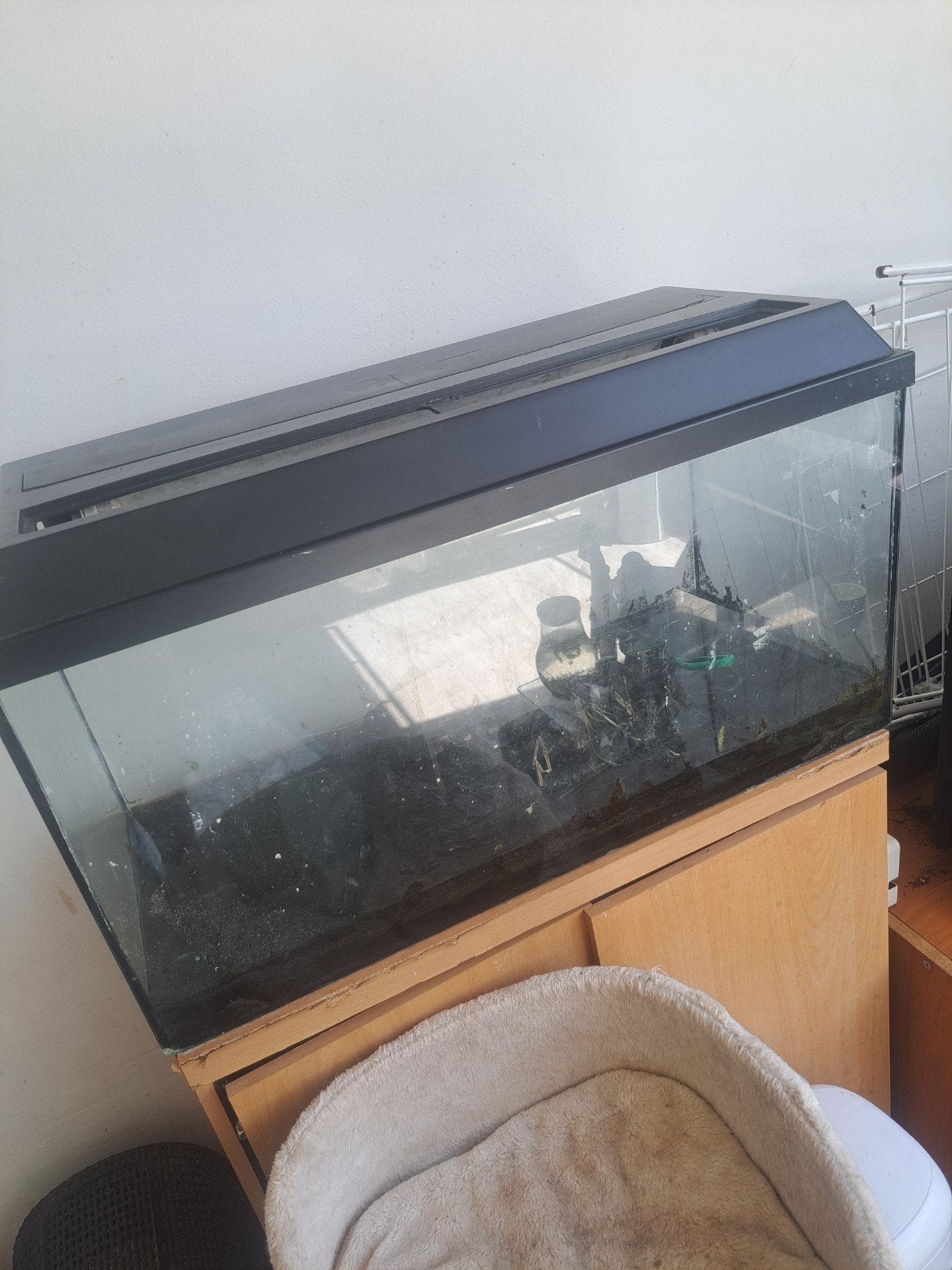 Aquarium Groot, Dieren en Toebehoren, Vissen | Aquaria en Toebehoren, Ophalen