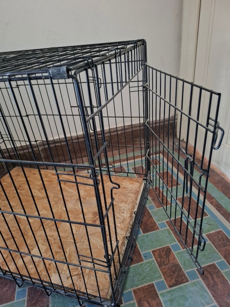 Dieren, Ophalen, Zo goed als nieuw, Honden