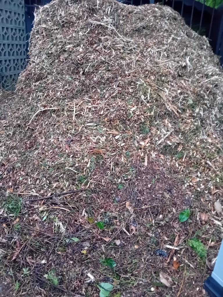 Thuja versnipperd om te geven, Tuin en Terras, Ophalen, Hout, Border