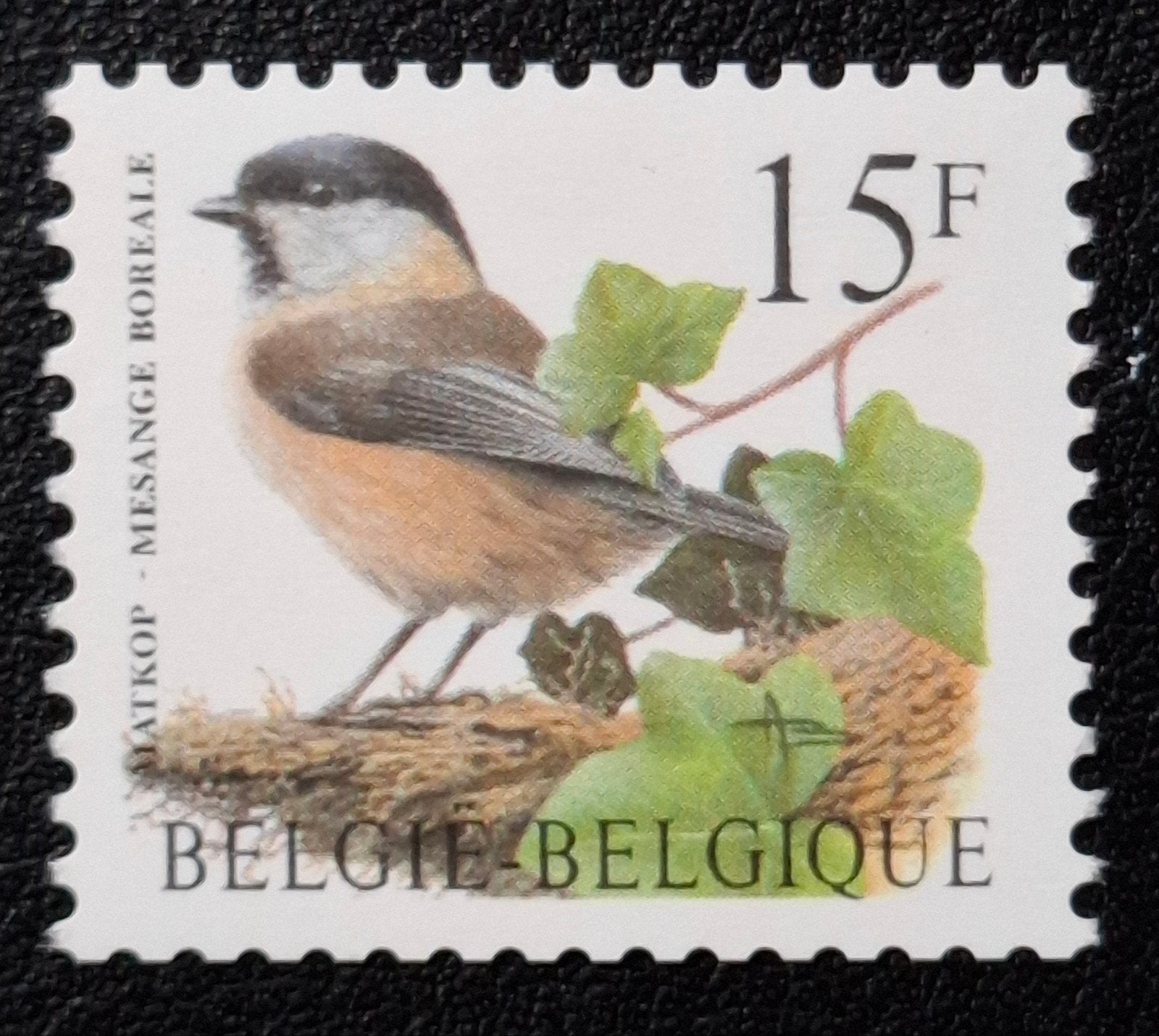 Belgique : COB 2732 ** Oiseaux 1997., Sans timbre, Neuf, Enlèvement ou Envoi, Non oblitéré