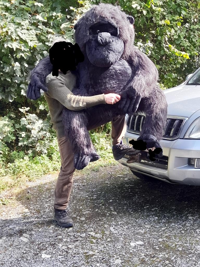 Grande peluche gorille, Enfants & Bébés, Jouets | Peluches, Neuf, Singe, Grand (plus de 80 cm), Noir