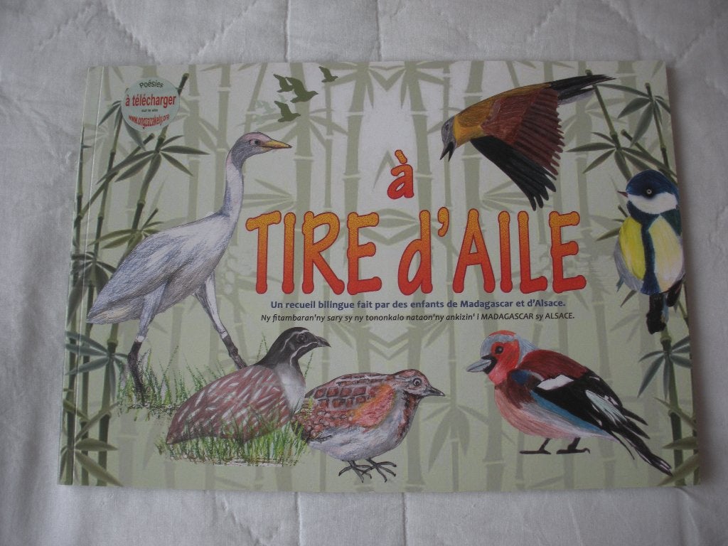 Livre "A tire-d'aile" pour enfant de 10 ans., Maison des Associations, Comme neuf, Enlèvement, Non-fiction