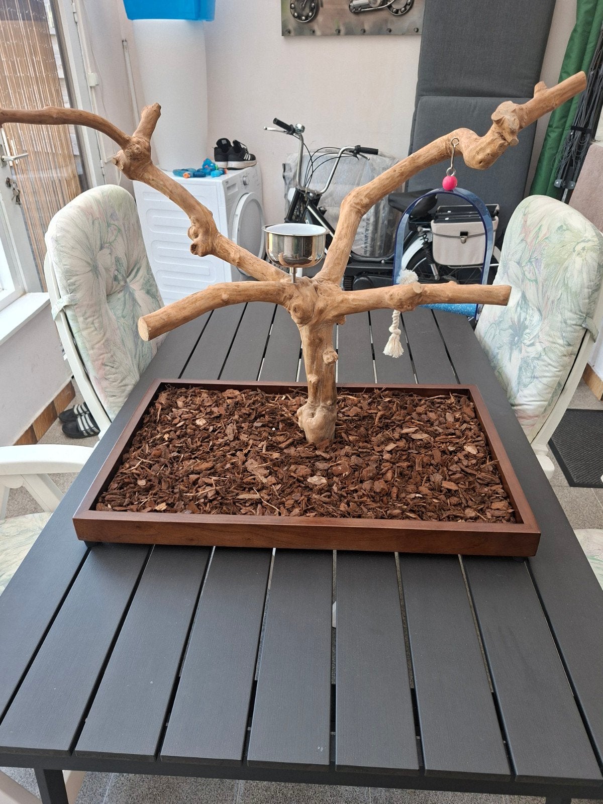 Arbre Java, Animaux & Accessoires, Enlèvement, Neuf