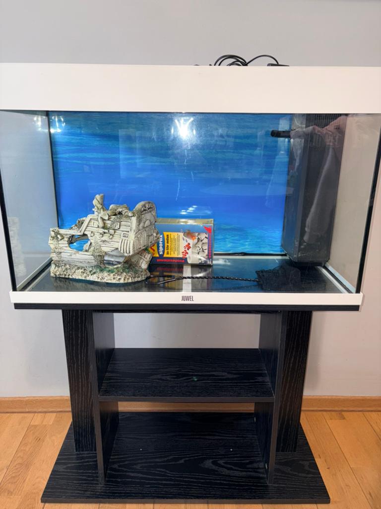 Aquarium juwel rio 125 l + meuble, Enlèvement, Pompe, Utilisé, Juwel