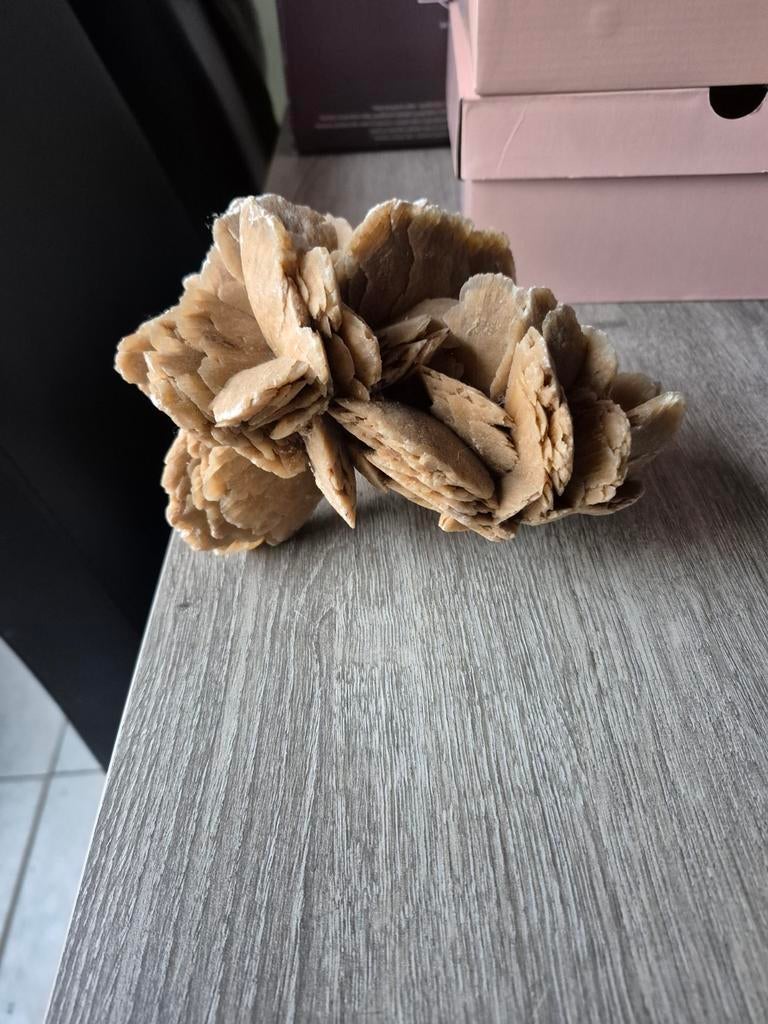 Zandroos 20cm, Verzamelen, Ophalen