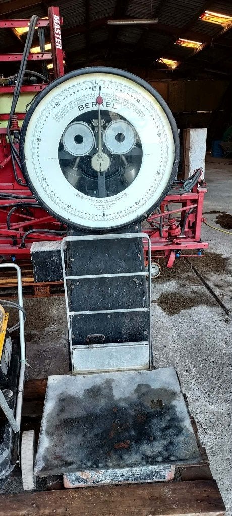 BERKEL weegschaal 100 kg, Enlèvement, Utilisé
