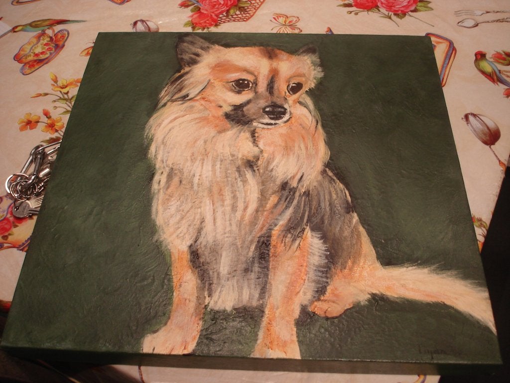 Schilderij op doek gesigneerd , lief hondje 50x50cm, Antiek en Kunst, Kunst | Schilderijen | Klassiek, Ophalen, Doek, Realistisch