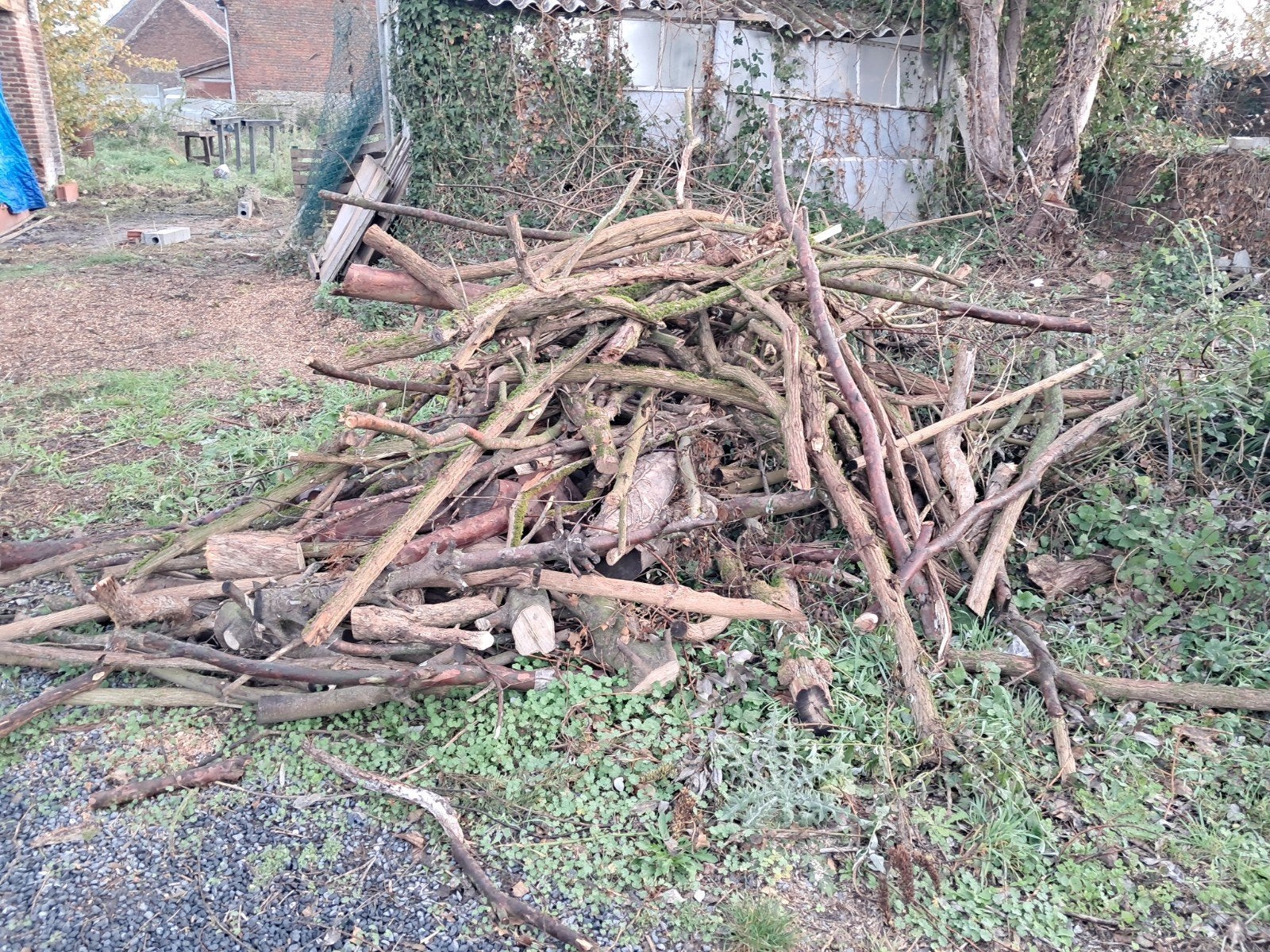 Bois à donner, Jardin & Terrasse, Enlèvement
