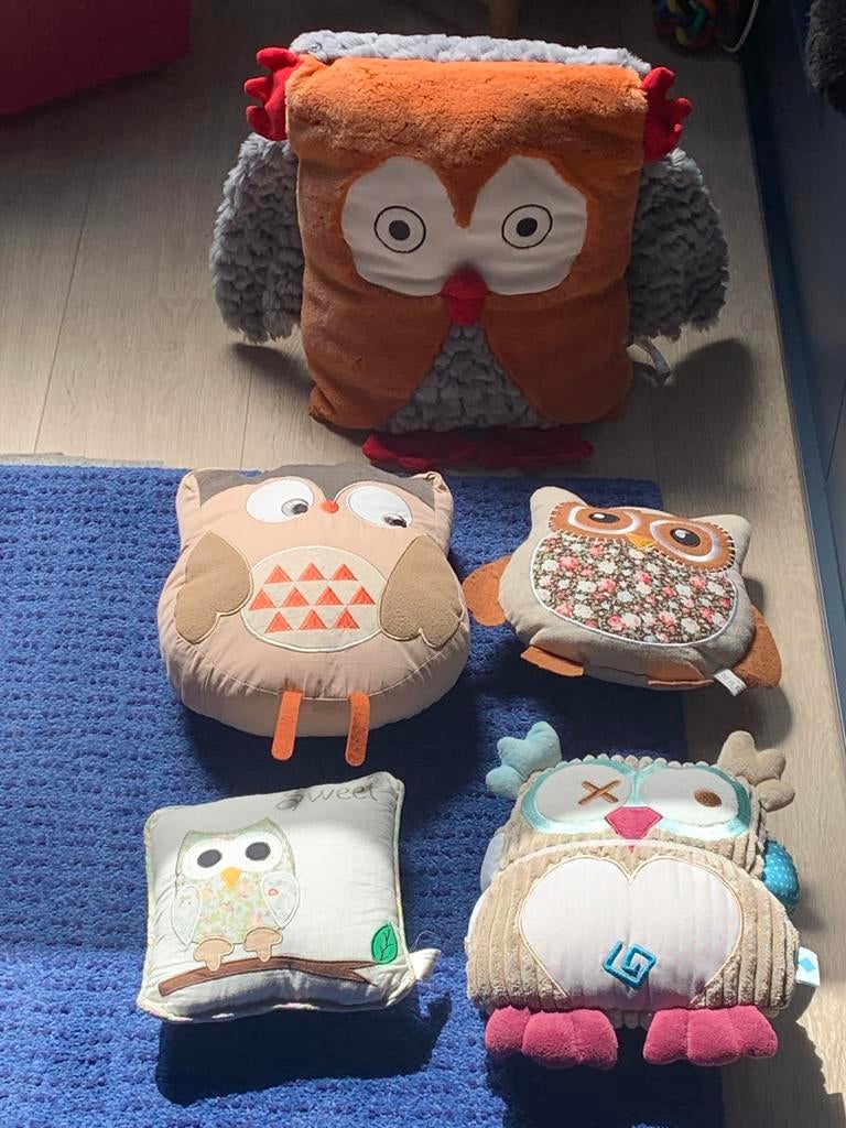 Coussins hiboux, Huis en Inrichting, Ophalen, Zo goed als nieuw, Overige kleuren, Overige vormen