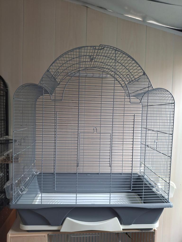 Vogel kooie met voed, Enlèvement