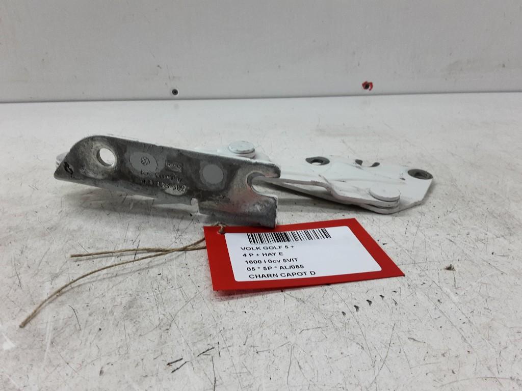 CHARNIERE DE CAPOT DROIT Golf V (1K1) (5MO823302), Volkswagen, Mevr. I. Hauben, Utilisé, Rue de l'Espoir 34 34
4030  GRIVEGNÉE, BE